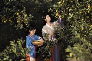 Elegant Artistic Portraiture: YiTuYu Art Language Vol.4482 Featuring Shu Pian - image 1