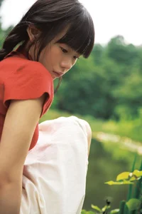 Shi San Jin Ya in the Bold Red YiTuYu Art Language Vol.7415 - image 31