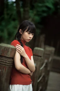 Shi San Jin Ya in the Bold Red YiTuYu Art Language Vol.7415 - image 18