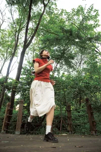 Shi San Jin Ya in the Bold Red YiTuYu Art Language Vol.7415 - image 13