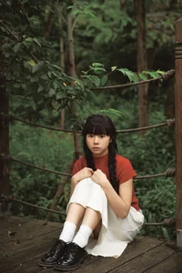 Shi San Jin Ya in the Bold Red YiTuYu Art Language Vol.7415 - image 17