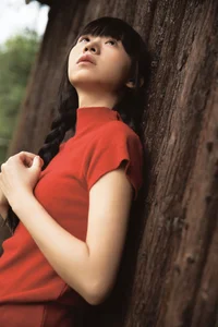 Shi San Jin Ya in the Bold Red YiTuYu Art Language Vol.7415 - image 3