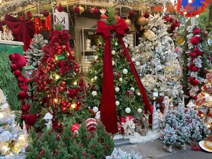 Hanoi Holiday Magic: Exploring the Festive Christmas Decorations of Hang Ma Street - image 0