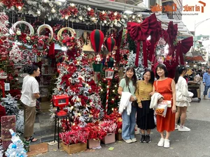Hanoi Holiday Magic: Exploring the Festive Christmas Decorations of Hang Ma Street - image 4