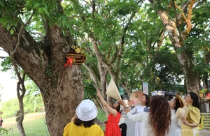 Exploring the Majestic Century-Old Heritage Sua Trees in Tam Ky City - image 6