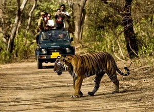 Explore Kaziranga: The Majestic Home of Asia's Big Five and Wild Beauty - image 0
