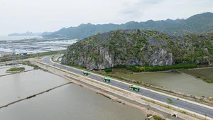 Sustainable Travel Guide to Cat Ba Island with Green Transport Solutions - image 5