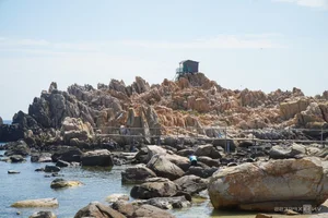 Discovering Dao Yen: The Pristine Bird's Nest Island in Nha Trang - image 1