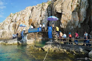Discovering Dao Yen: The Pristine Bird's Nest Island in Nha Trang - image 5