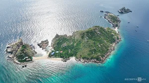Discovering Dao Yen: The Pristine Bird's Nest Island in Nha Trang - image 6