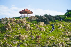 Discovering Dao Yen: The Pristine Bird's Nest Island in Nha Trang - image 2