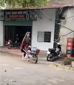 Vietnamese Social Media Personality Bella Surprises Netizens by Traveling Across Vietnam with a Wheelbarrow - image 4