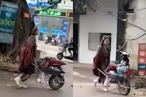 Vietnamese Social Media Personality Bella Surprises Netizens by Traveling Across Vietnam with a Wheelbarrow - image 1