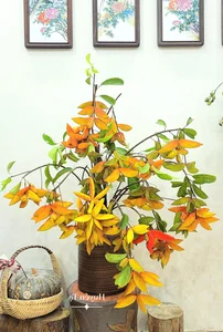 Unique Fruit-Shaped Decorative Vases: The Latest Home Decor Trend for Modern Interiors - image 8