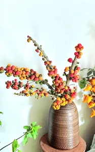 Unique Fruit-Shaped Decorative Vases: The Latest Home Decor Trend for Modern Interiors - image 6