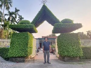 Transforming Ancient Sanh Trees into a Majestic Living Gate: Architectural Natural Art - image 1