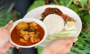 A Culinary Guide to Malaysia's National Dish: 9 Must-Visit Spots for Authentic Nasi Lemak - image 3