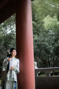 Timeless Grace: YiTuYu Art Language Vol.8576 TOT in Ancient Chinese Splendor - image 11