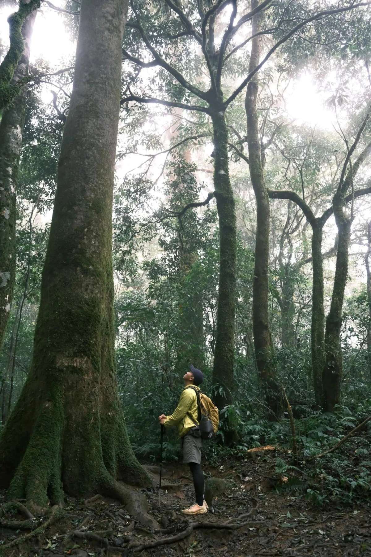 Trekking Lang Biang Mountain: A Day Trip with Local Guides in Dalat