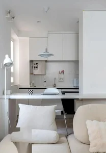 Stunning 43m2 Studio Apartment Interior Design for Modern Solo Living - image 1