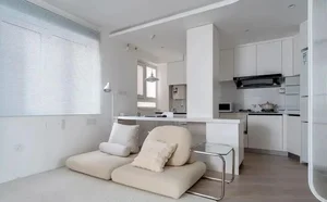 Stunning 43m2 Studio Apartment Interior Design for Modern Solo Living - image 5