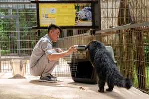National Geographic Photographers Explore Safari Phu Quoc: A Wildlife Masterpiece - image 4