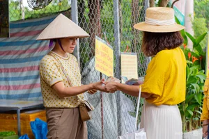Golden Harvest: Visiting the Stunning Ripe Pomelo Gardens in Hanoi - image 0