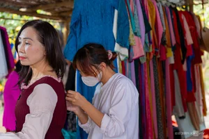 Golden Harvest: Visiting the Stunning Ripe Pomelo Gardens in Hanoi - image 3