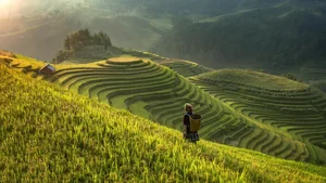Discover 4 New Luxury 5-Star Hotels in Vietnam for Your Ultimate Summer Vacation - image 7