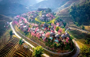 Discover 4 New Luxury 5-Star Hotels in Vietnam for Your Ultimate Summer Vacation - image 4