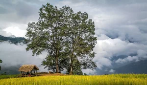 The Ultimate 2024 Lao Cai Travel Guide: Everything You Need for Your Northern Vietnam Trip - image 1