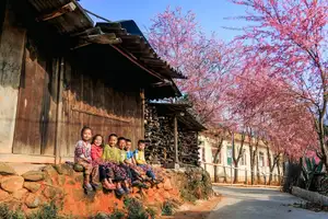 Muong Tip Children's Smiles Amidst Nghe An's Bright Cherry Blossoms - image 1