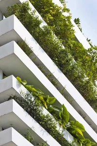 Innovative Urban Greenery: The Stunning Facade Garden House Redefining Saigon’s Architecture - image 6