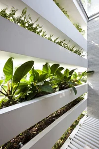 Innovative Urban Greenery: The Stunning Facade Garden House Redefining Saigon’s Architecture - image 1