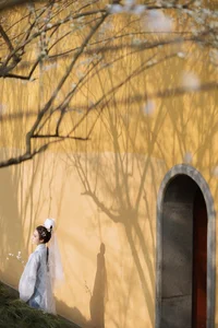 Art Language Vol.4573 Fang Ting Yu: A Masterclass in Artistic Portraiture - image 26