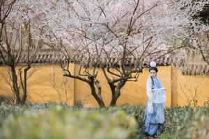Art Language Vol.4573 Fang Ting Yu: A Masterclass in Artistic Portraiture - image 1