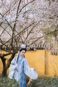 Art Language Vol.4573 Fang Ting Yu: A Masterclass in Artistic Portraiture - image 27