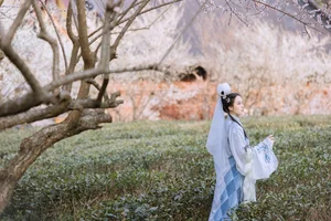 Art Language Vol.4573 Fang Ting Yu: A Masterclass in Artistic Portraiture - image 9