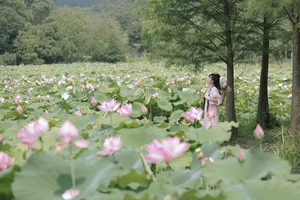 A Milestone in Photography: YiTuYu Art Language Vol.4850 Jiu Niang Yuan Zi - image 19