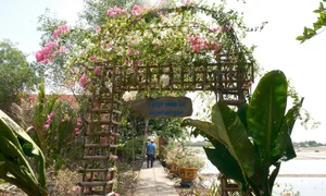 Discover the Hidden Green Oasis: Cycling Through Ho Chi Minh City’s Isolated Islands - image 1