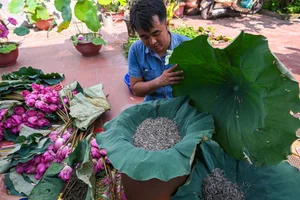 The Art of Vietnamese Lotus Tea: Why This Traditional Delicacy Costs Thousands per Kilogram - image 9