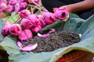 The Art of Vietnamese Lotus Tea: Why This Traditional Delicacy Costs Thousands per Kilogram - image 7