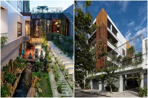 A Lush Urban Oasis: Nha Trang House Renovation Inspired by Serenity - image 4