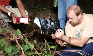 Wildlife Adventure: Capturing the Hidden Reptiles of Vietnam - image 1