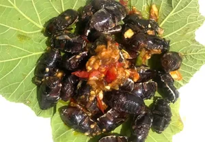 The Unique Tradition of Hunting Bù Rầy Beetles in Vietnam - image 5