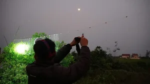 The Unique Tradition of Hunting Bù Rầy Beetles in Vietnam - image 2