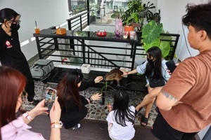 The Capybara Cafe Trend Hits Ho Chi Minh City: A Unique Experience for Animal Lovers - image 0