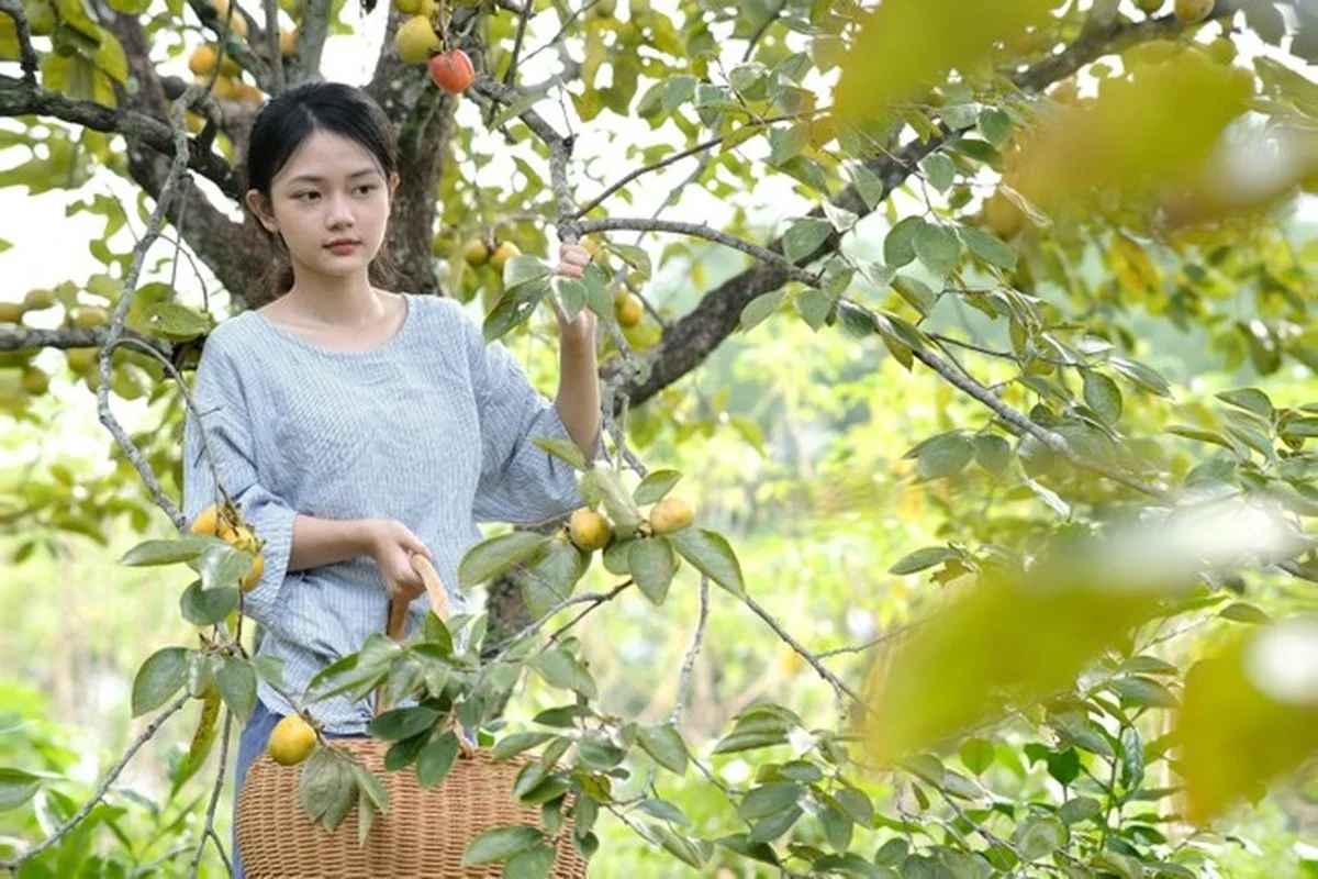 Natural Beauty in Uniform: The Captivating Military Training Photos of a Student from Nghe An