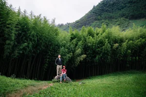 Summer Travel Boom: Ma Pi Leng Pass and Meo Vac Attract Crowds in Vietnam - image 5