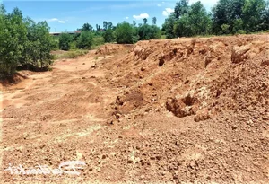 Close-up: Tourism Farm Project in Quang Nam Under Investigation - image 6